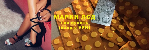 ПСИЛОЦИБИНОВЫЕ ГРИБЫ Горнозаводск