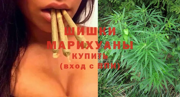 ПСИЛОЦИБИНОВЫЕ ГРИБЫ Горнозаводск