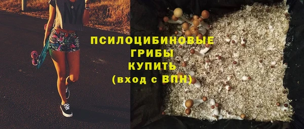 ПСИЛОЦИБИНОВЫЕ ГРИБЫ Горнозаводск