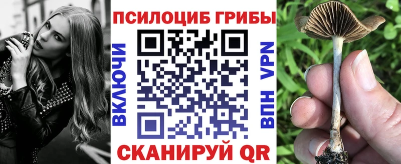 Купить Березники Галлюциногенные грибы ЛСД